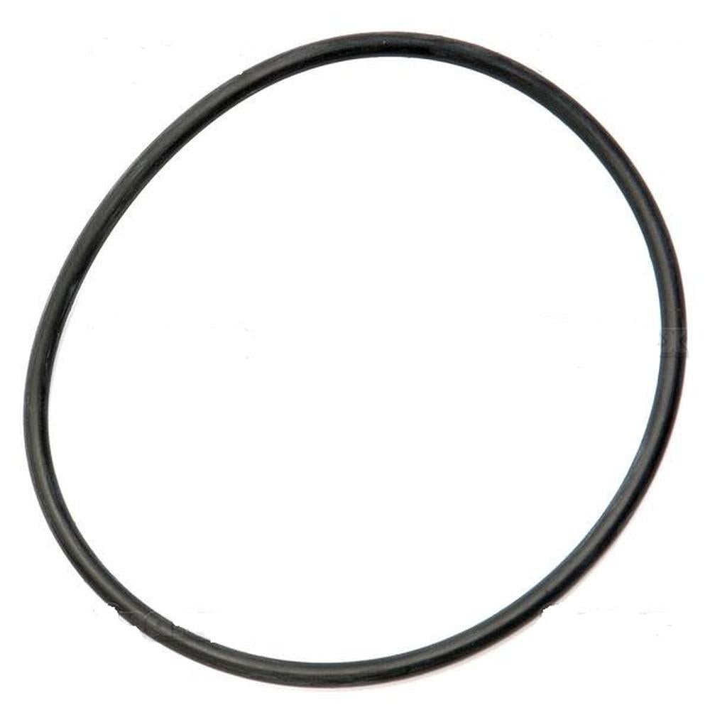 1004633M1-AIC PTO O-Ring