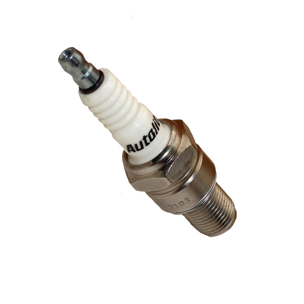 A-405 Spark Plug