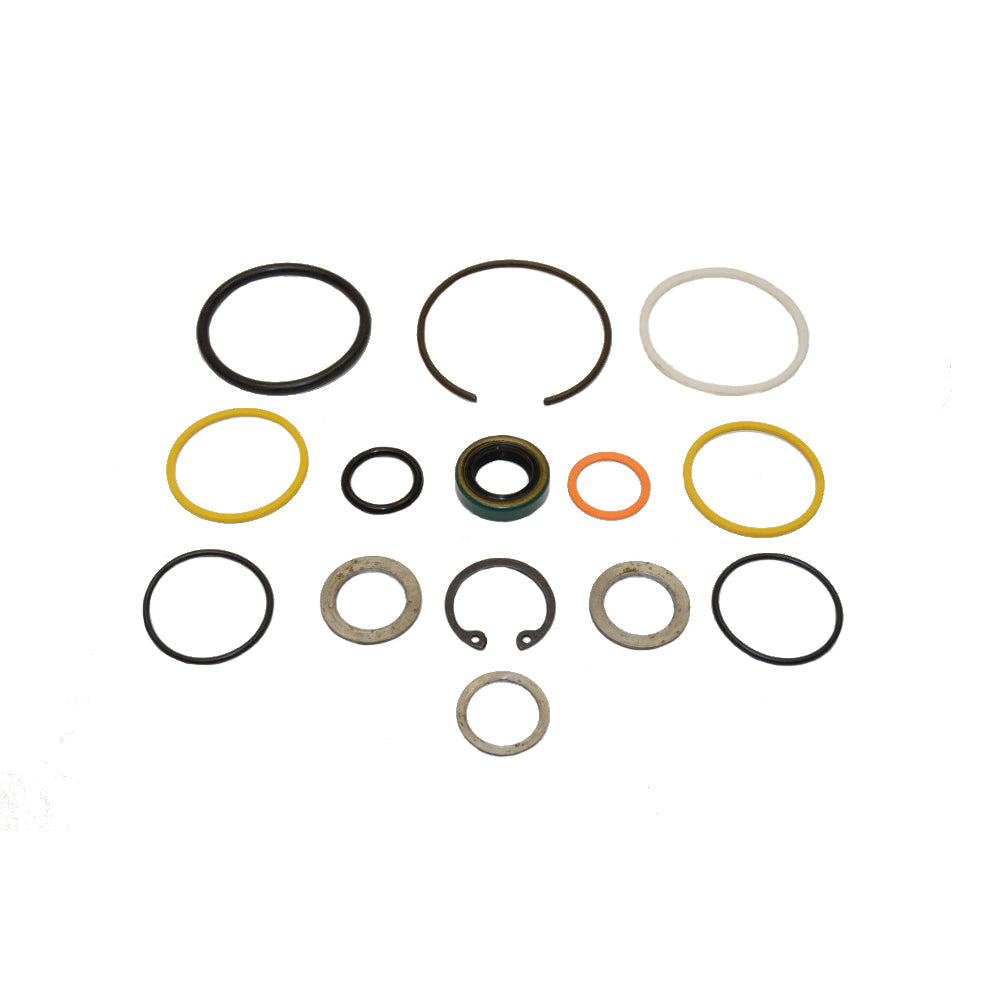 C5NN3N713A Cylinder Seal Kit Fits Ford/New Holland 4200 550 5500 555 5550 555A