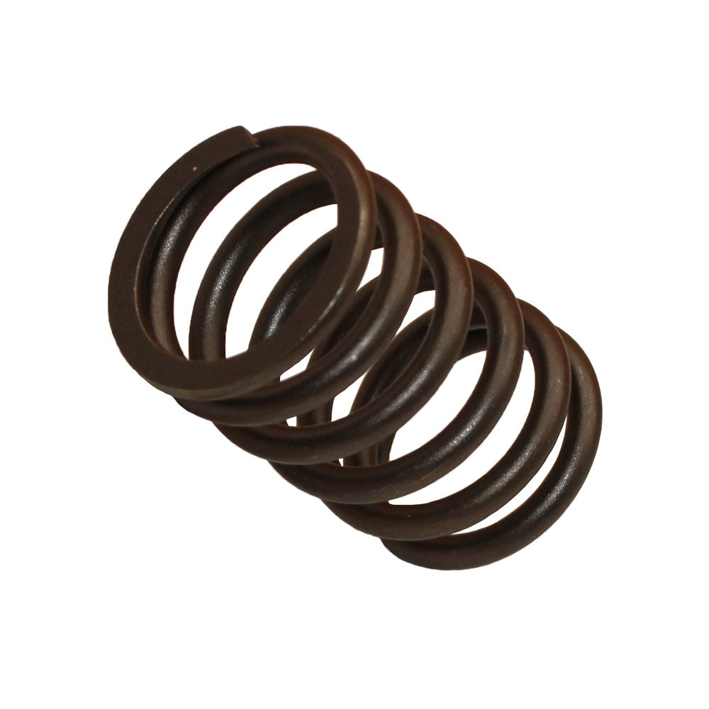 3911693 Valve Spring Fits Ford