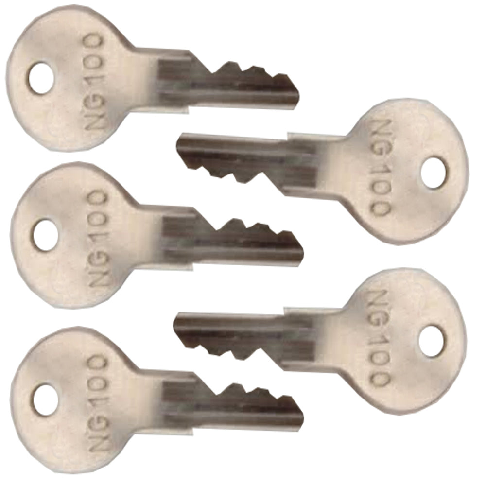 (10) Keys Fit Advance Arrow Lifts Terex Lull(old) Telehandlers Vermeer NG100 C1