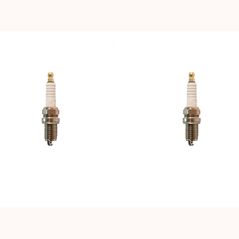 Filters w/ Spark Plugs Fits Stens