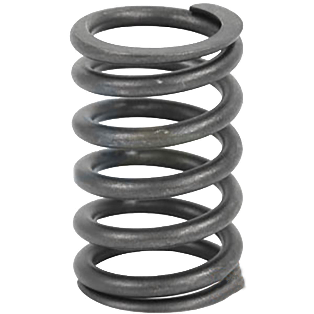 R26125 - Valve Spring