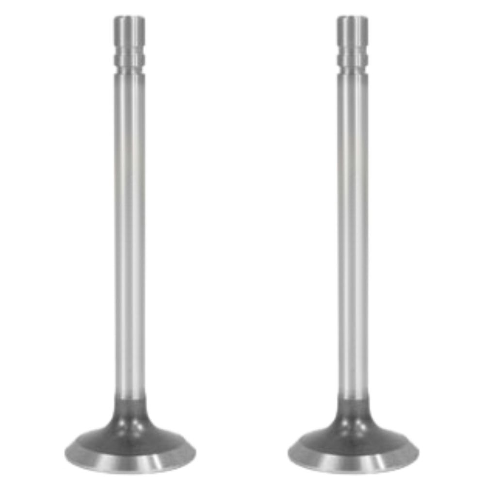 R52252 R79624 Two Exhaust Valves Fits John Deere Tractor Excavator Crawler