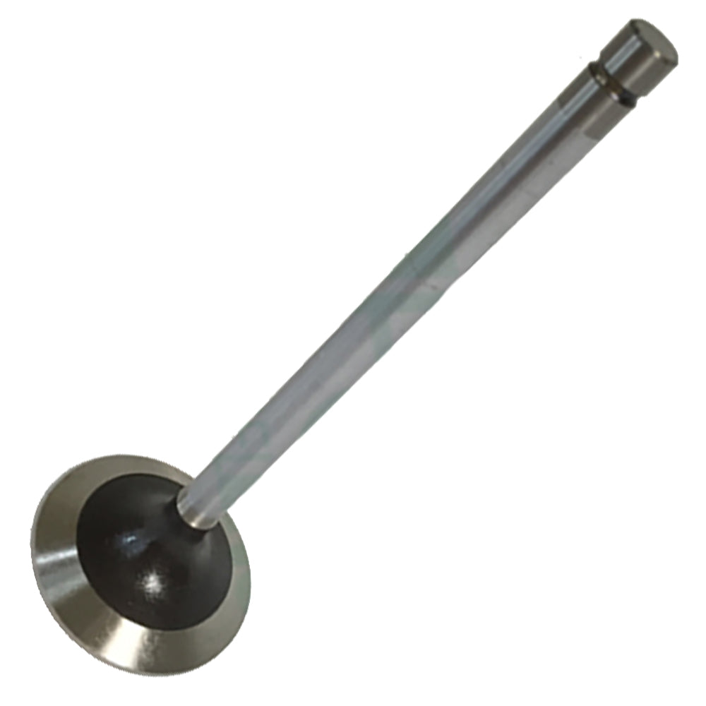 TPR98062GV Standard Intake Valve Fits John Deere