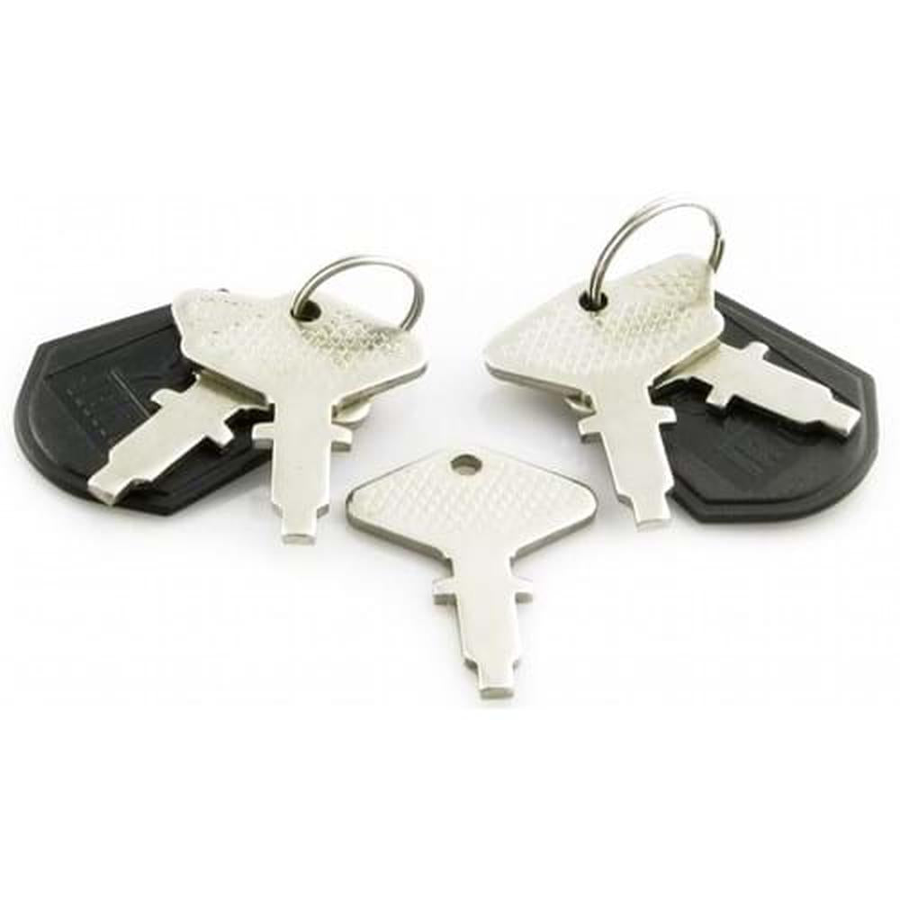 TX10998 Ignition Keys (Pkg. of 2) Fits Long