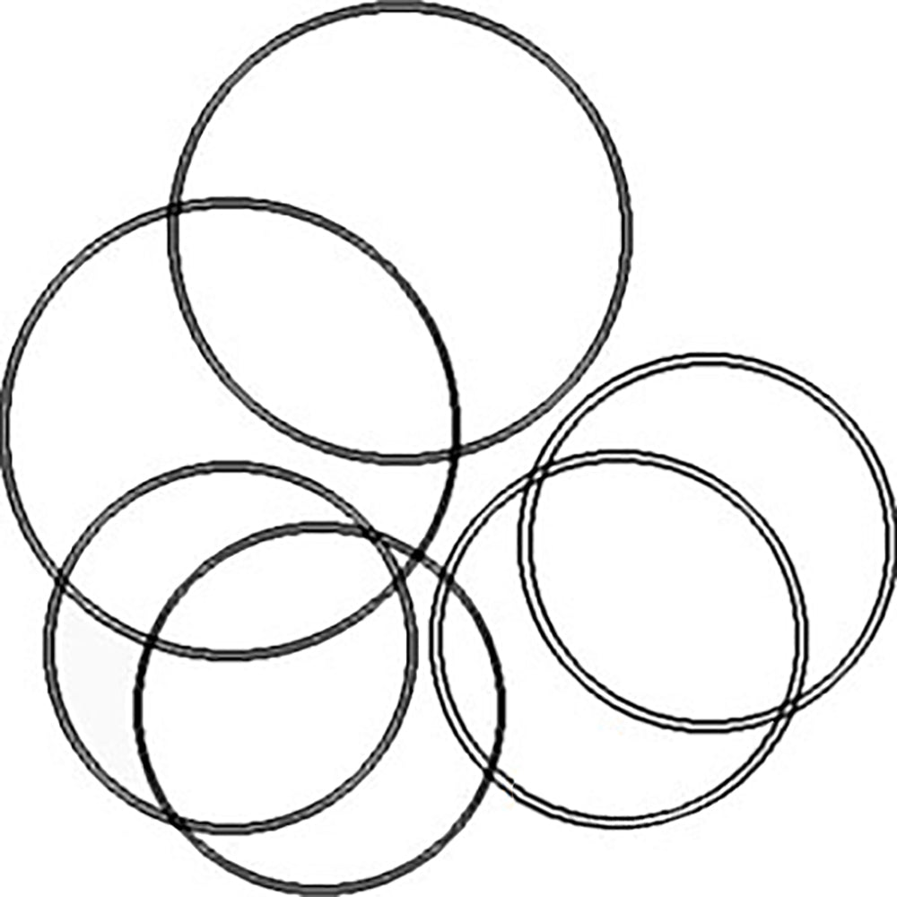 539535R91-AIC Brake O-Ring Kit