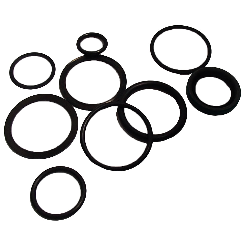 AM36221-AIC Seal Kit