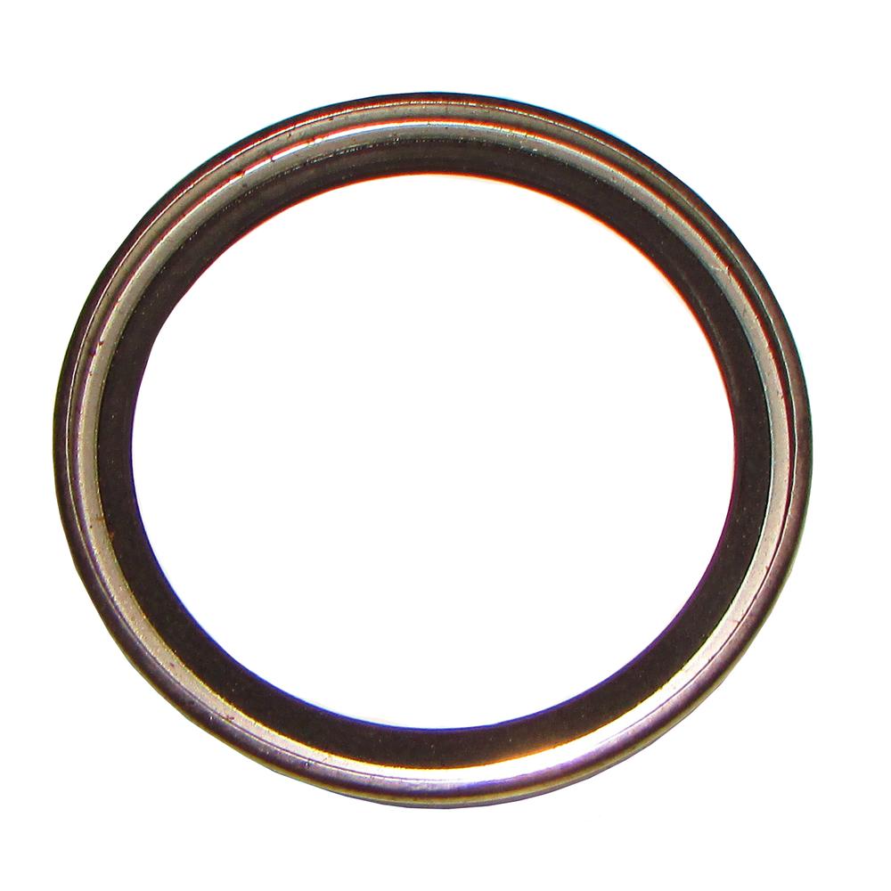 CSH10-0044-AIC Lip-Type Seal