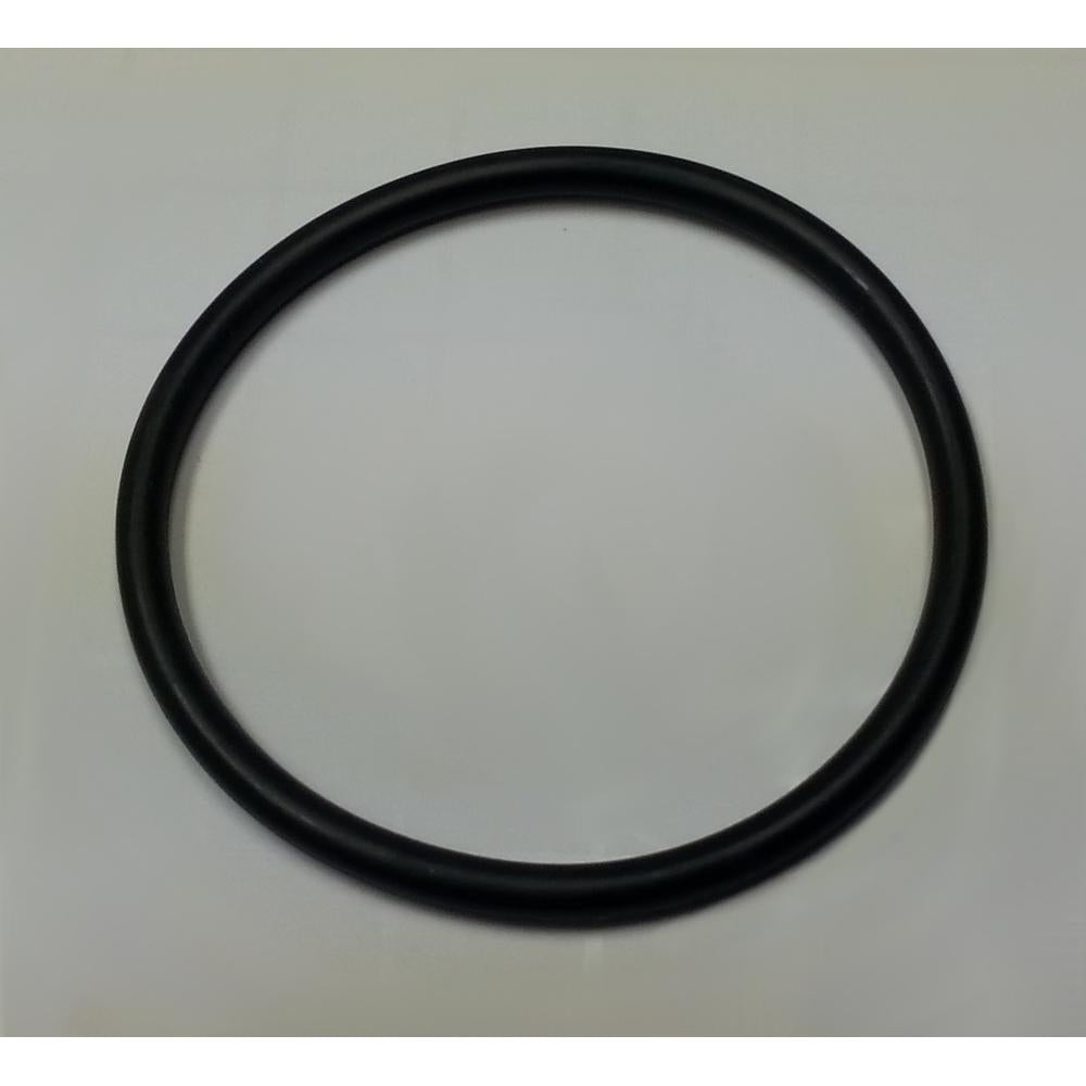 D50079-AIC O-Ring