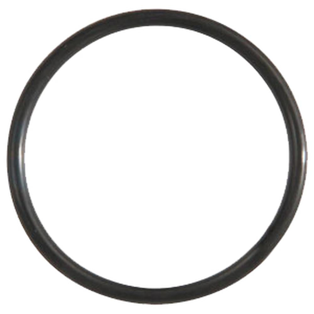 P50631-AIC O-Ring