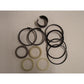 Seal Kit G109452 1543252C1 Fits Case 480DLL 480E 480ELL 580C 580D 580SuperD