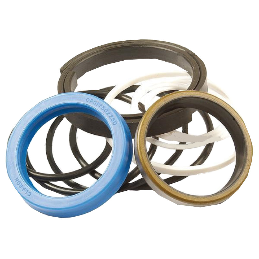 1606583M93-AIC Cylinder Seal Kit