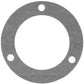 1750296M1-AIC Water Pump Support to Body Gasket