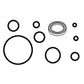 1810437M91 - P/S Cylinder O-Ring Kit