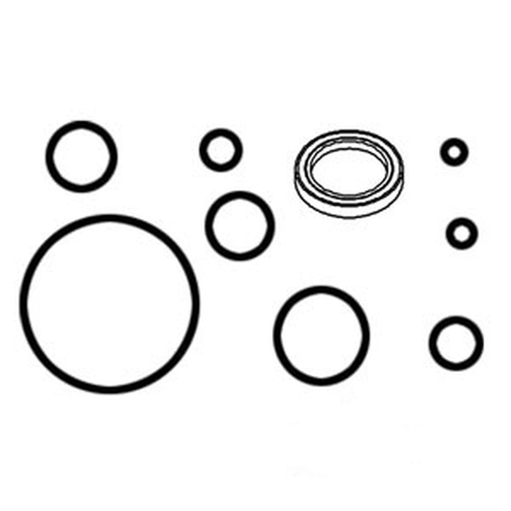 1810437M91 - P/S Cylinder O-Ring Kit
