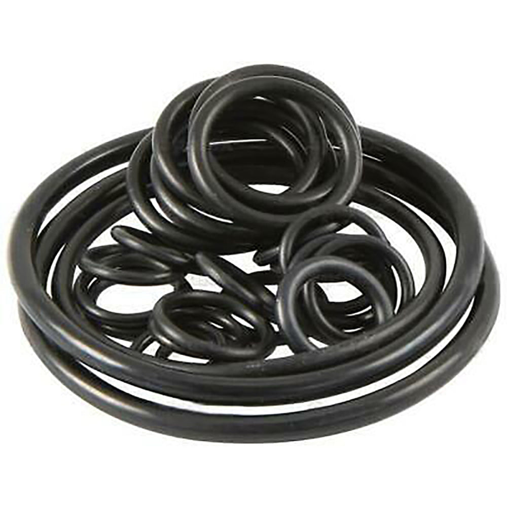 Hydraulic Pump O-Ring Kit - Fits Massey Ferguson - 1810467M91