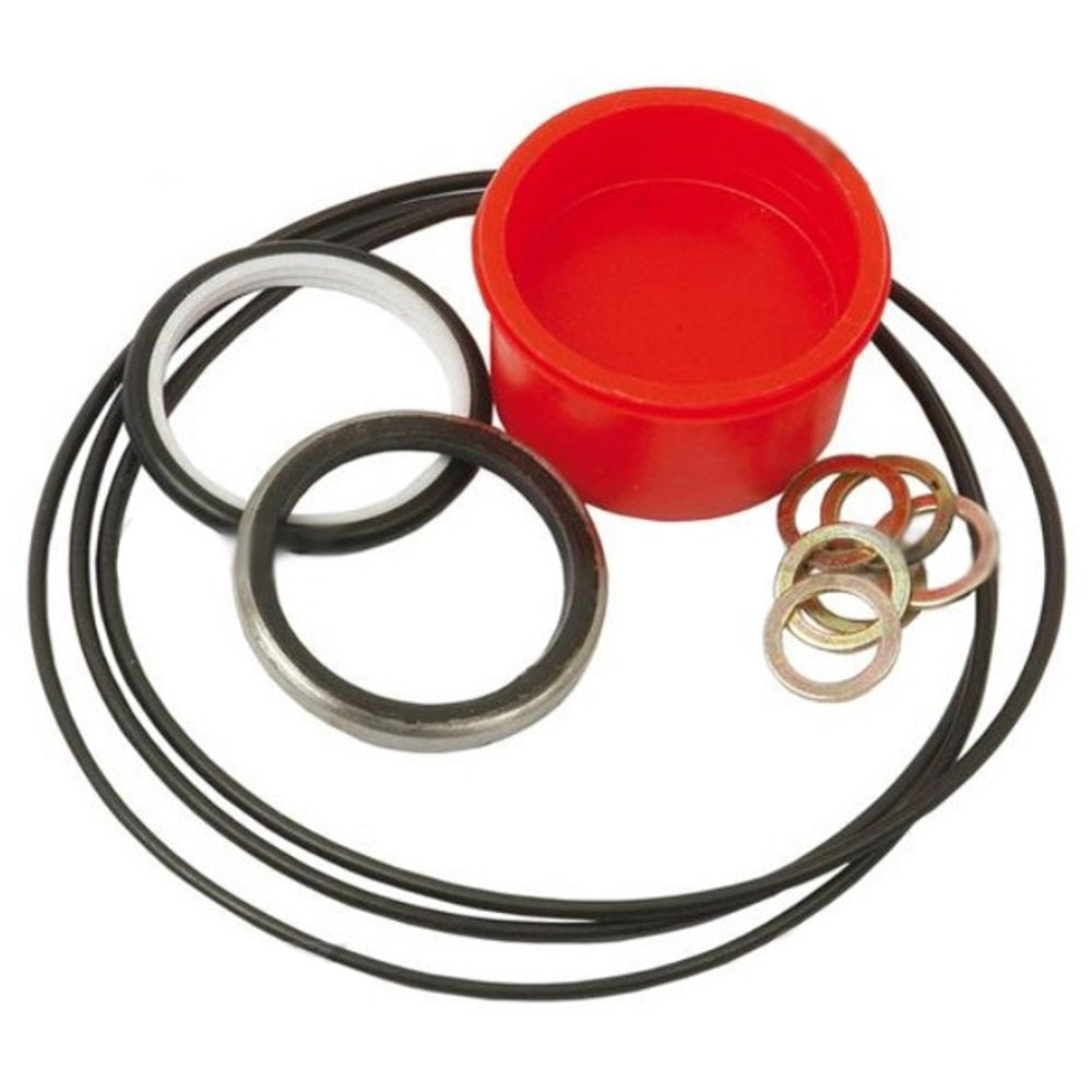 1810503M91 Orbital Steering Unit Seal Kit Fits Landini