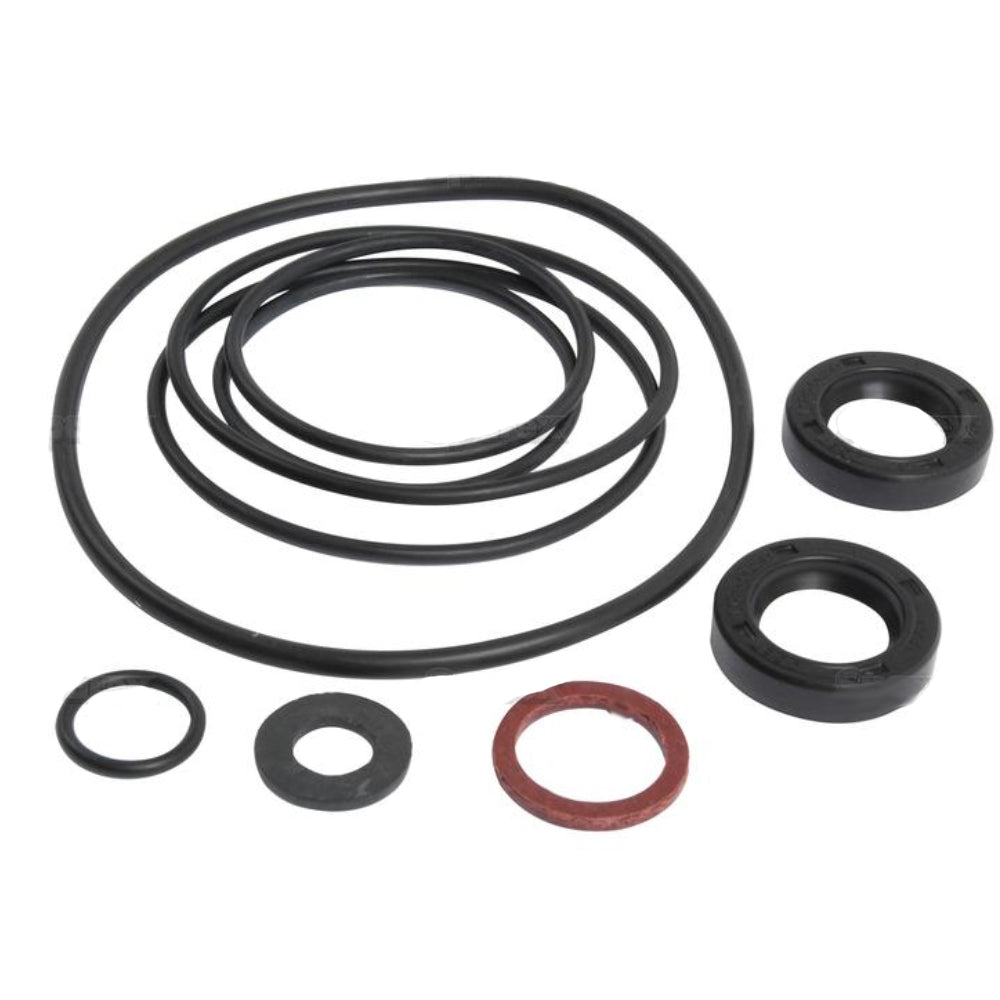 1810618M92 Power Steering Pump Kit Fits Massey Ferguson