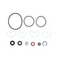 1810839M91 Power Steering Pump Seal Kit Fits Landini
