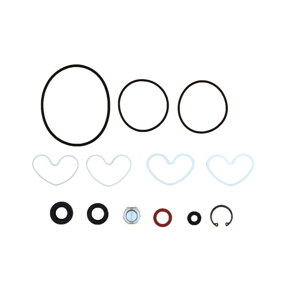 1810839M91 Power Steering Pump Seal Kit Fits Landini