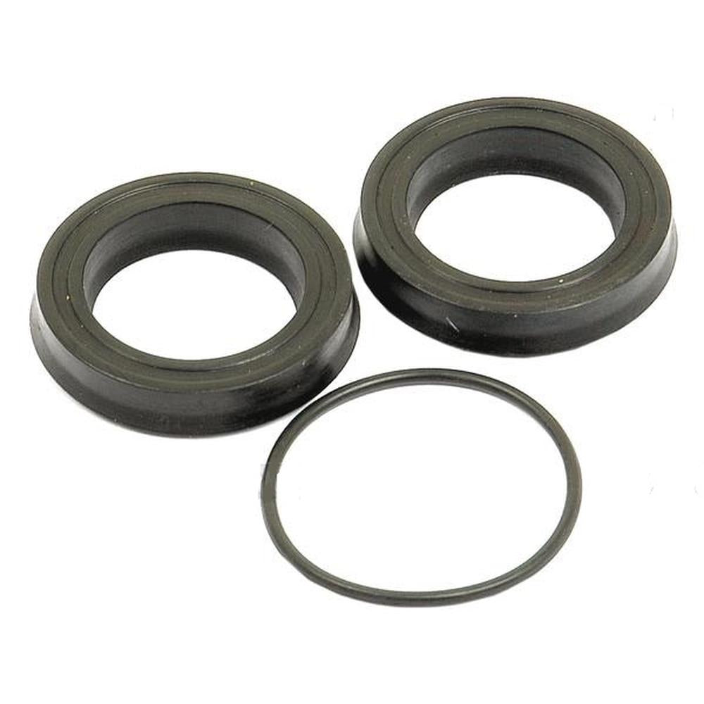 1810917M1 Slave Cylinder Seal Kit Fits Massey Ferguson 350 362 365 375 390 390T