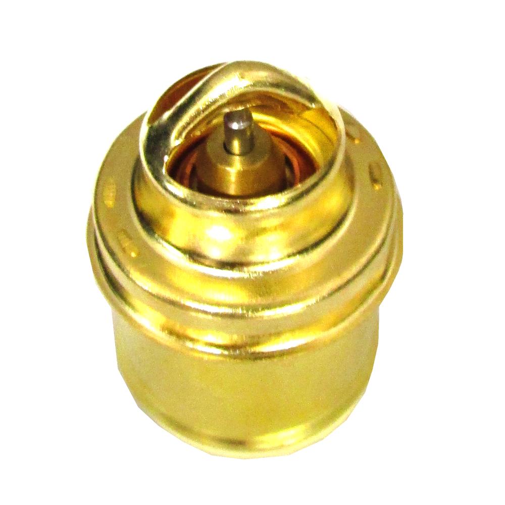 181634M91 160 Degree Thermostat Fits Universal Products