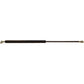 189447A2 Gas Strut, Front And Rear Window
