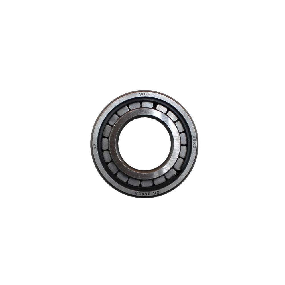 191250M1-AIC Differential Pinion Bearing