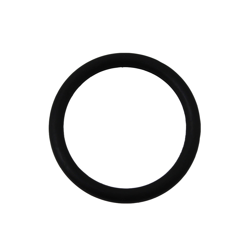 195565M1 Lift Shaft O-Ring Fits Challenger 540C 550C 560C