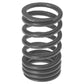 212-1009-AIC Valve Spring