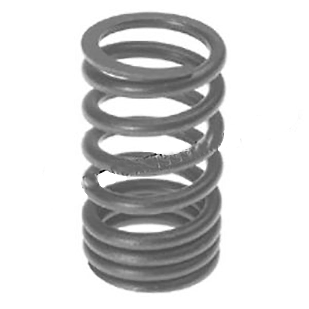 212-1009-AIC Valve Spring