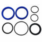 25031-AIC Cylinder Seal Kit
