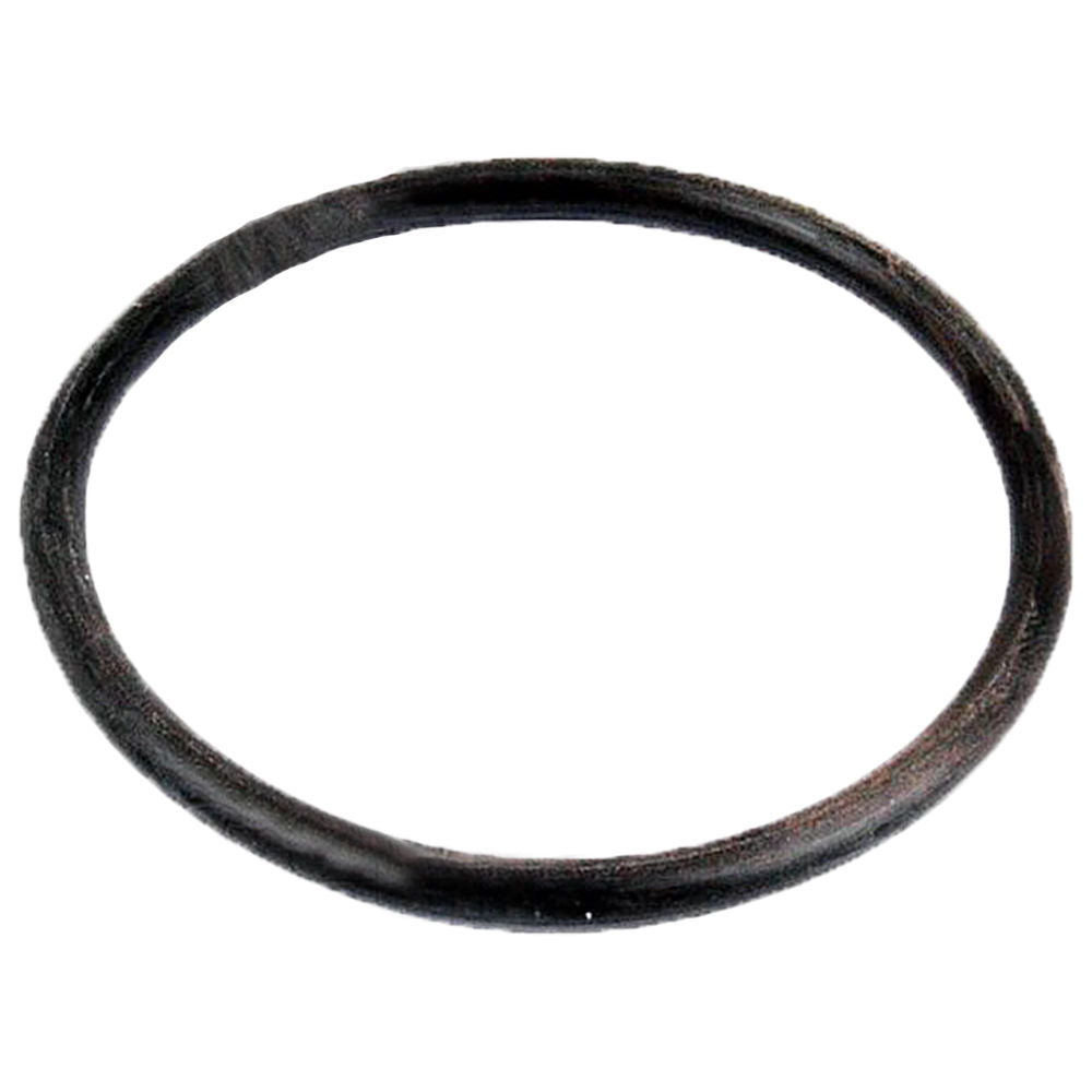 2528202K1-AIC O-Ring