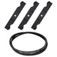 187254 Blade & Belt Combo
 Fits AYP
