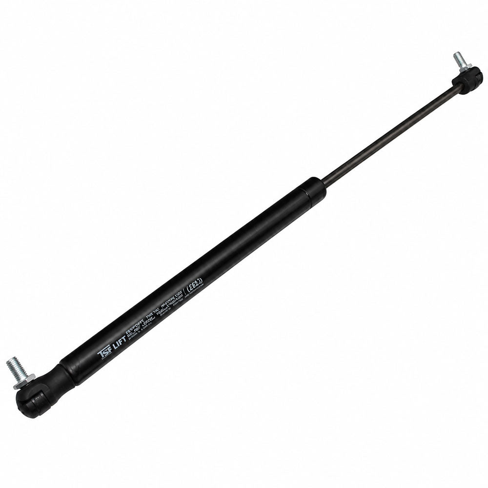 3380149M2 Strut, Gas