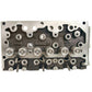 Cylinder Head Fits Massey Ferguson 135 150 3637389M91 4222810M91 fits Perkins