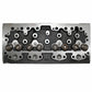 3637485M91 - Cylinder Head Assembly with Valves