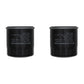 Qty 2: Lube Filter Fits Simplicity Replaces 300314