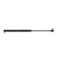 Gas Strut Fits White Replaces 3804759M1