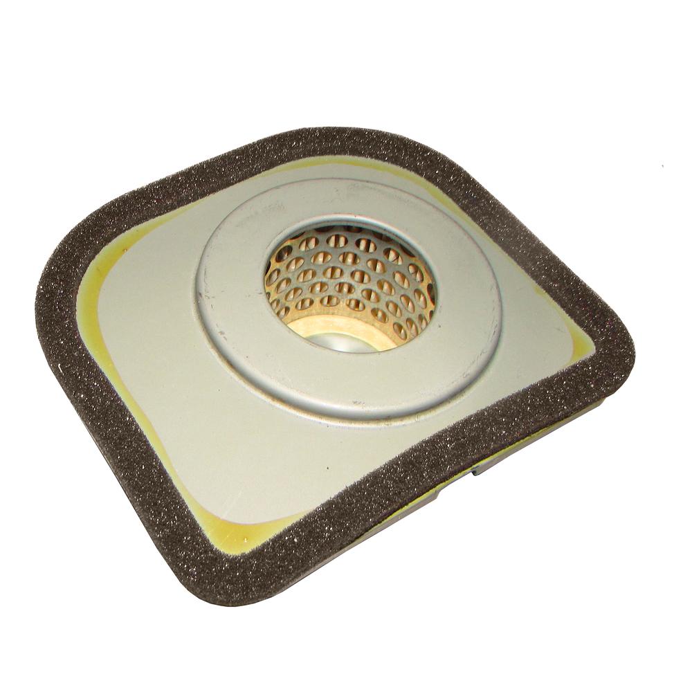 Air Filter Fits FA210 with 5.2 HP Engines 3144AA-1312A 43022 49064-2059 B1AF313