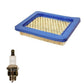 Tune Up Kit Fits Briggs Air Filter #491588 Spark Plug RJ19LM J19LM
