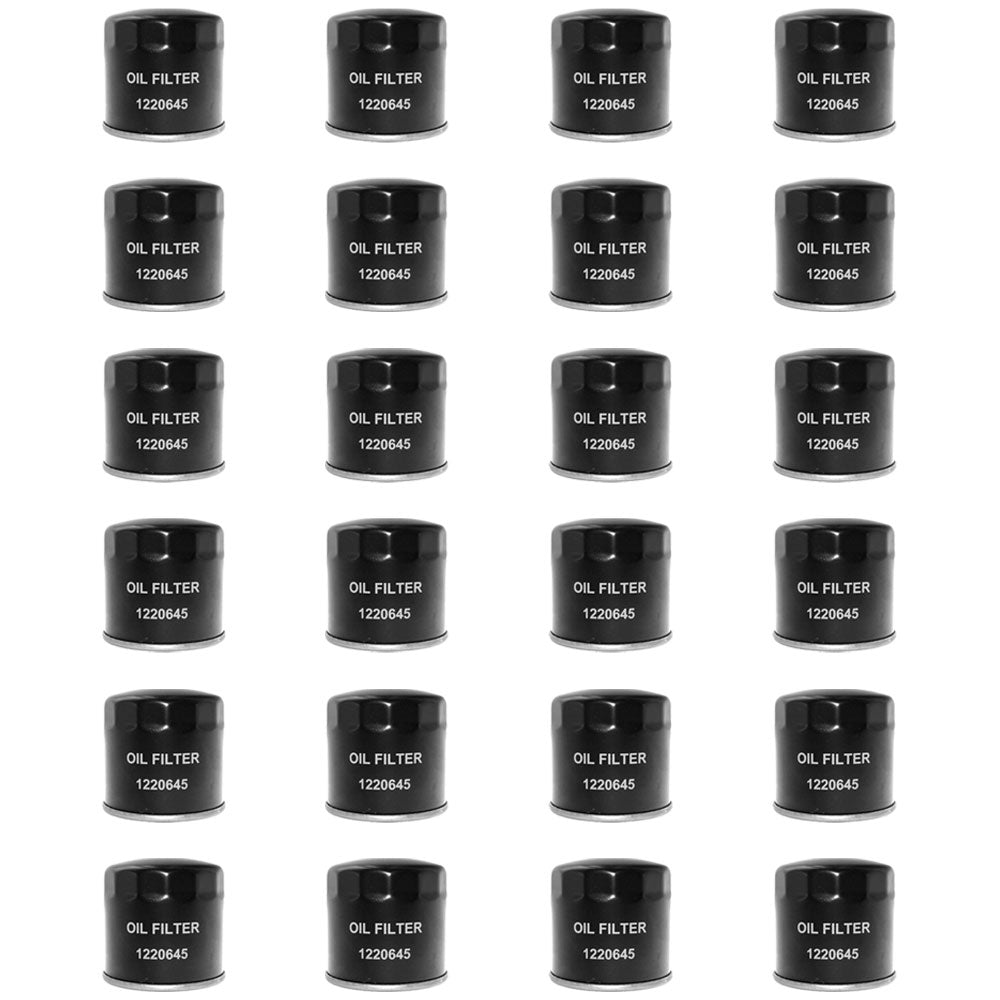 491056 Qty 24: Oil Filter Fits Agco