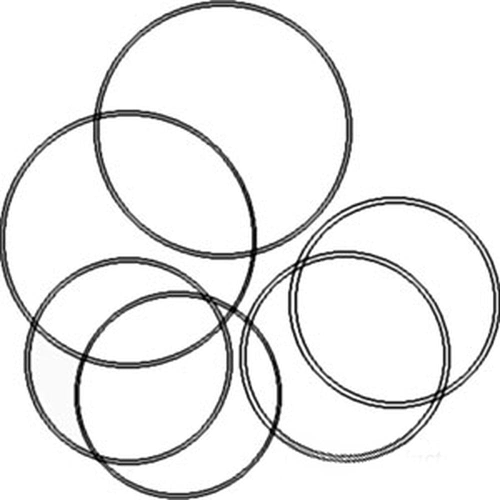 Brake O-Ring Kit Fits International 574 584 674 454 684 Fits Case IH 595 695