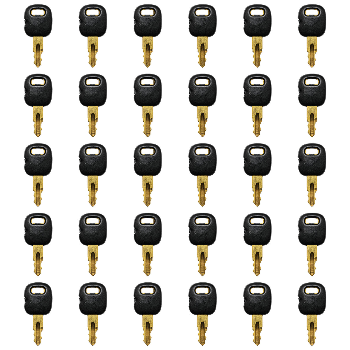Qty. 30: Key(s) - Old Style Fits ASV Replaces 0310-072