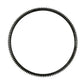 AM60883H Flywheel Ring Gear Fits Case/International Harvester