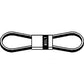 633569 - Pump Drive Belt
