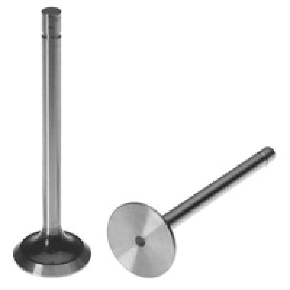 234829 Intake Valve Fits Allis Chalmers