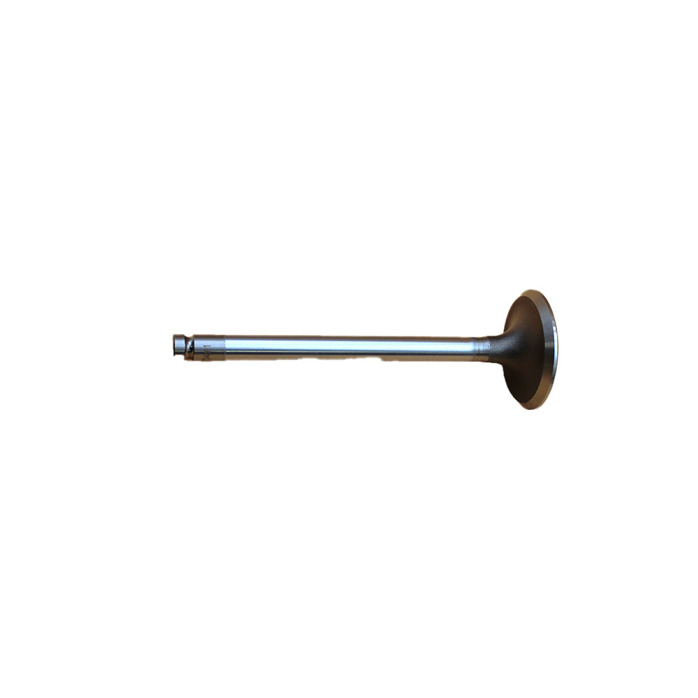 0910001 Intake Valve Fits Perkins