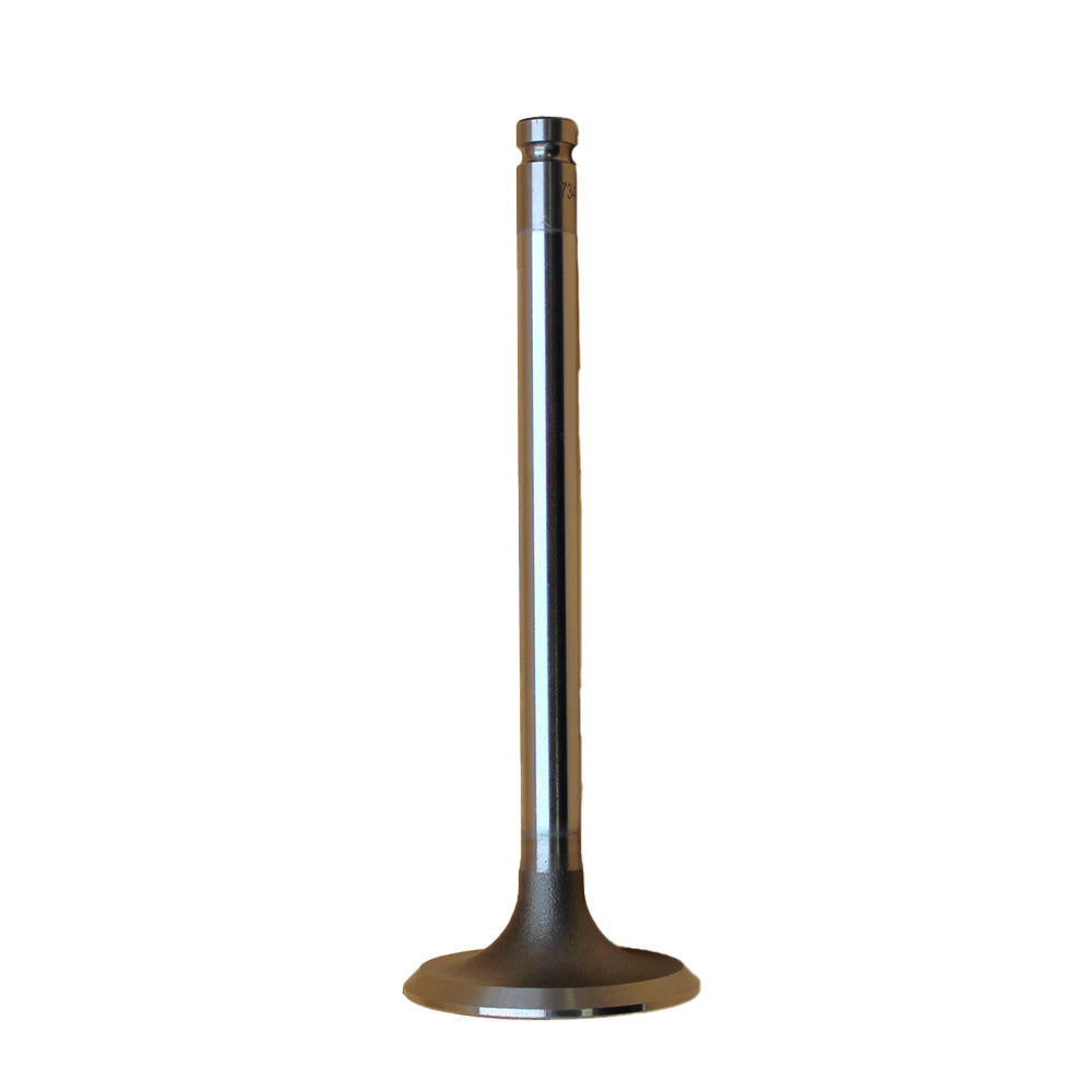 0910001 Intake Valve Fits Perkins